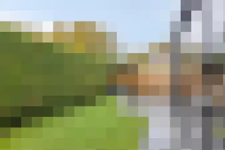 Emmerschans 70 Veenendaal thumbnail 35