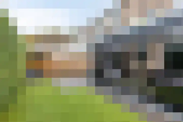 Emmerschans 70 Veenendaal thumbnail 36