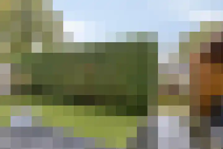 Emmerschans 70 Veenendaal thumbnail 37