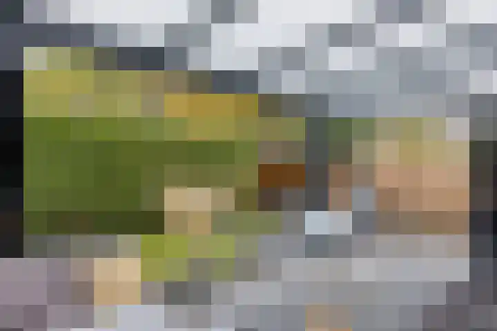 Emmerschans 70 Veenendaal thumbnail 4