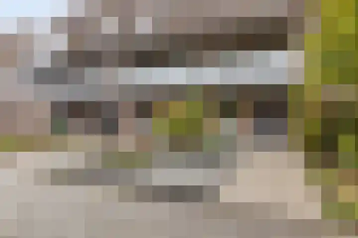 Emmerschans 70 Veenendaal thumbnail 42