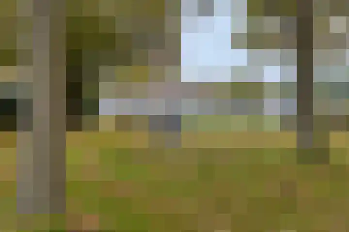 Emmerschans 70 Veenendaal thumbnail 46