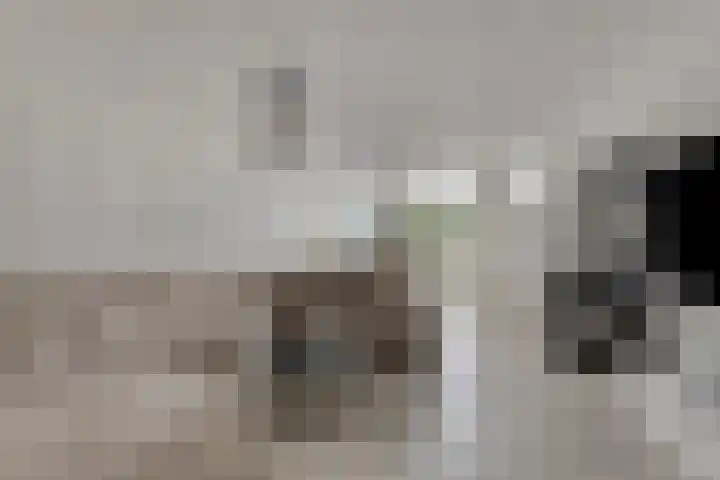 Emmerschans 70 Veenendaal thumbnail 8