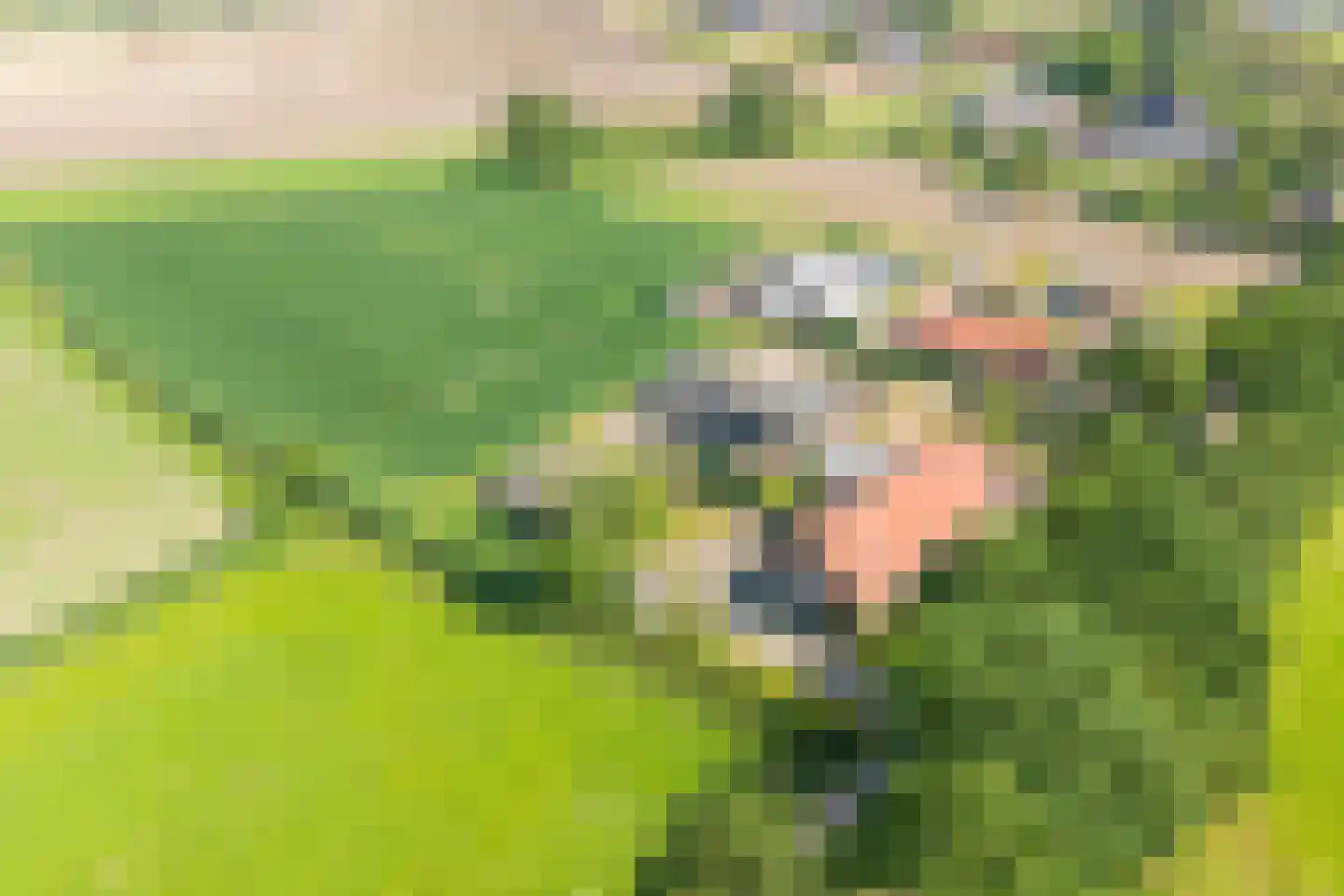Emmerseweg 5 Diessen thumbnail 5