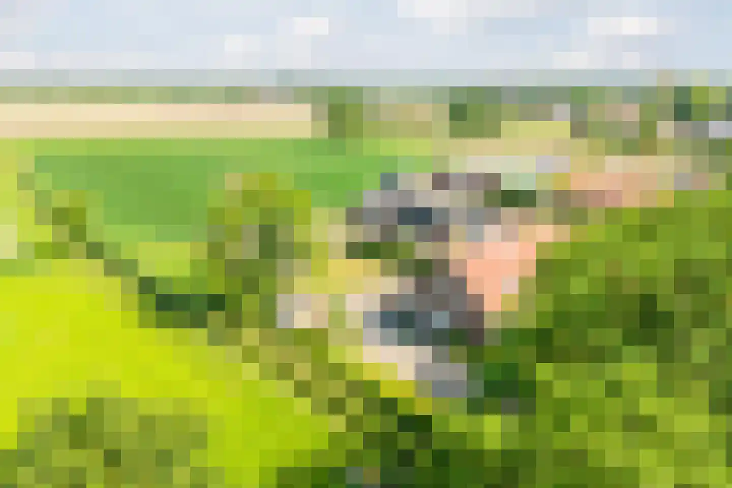 Emmerseweg 5 Diessen thumbnail 6