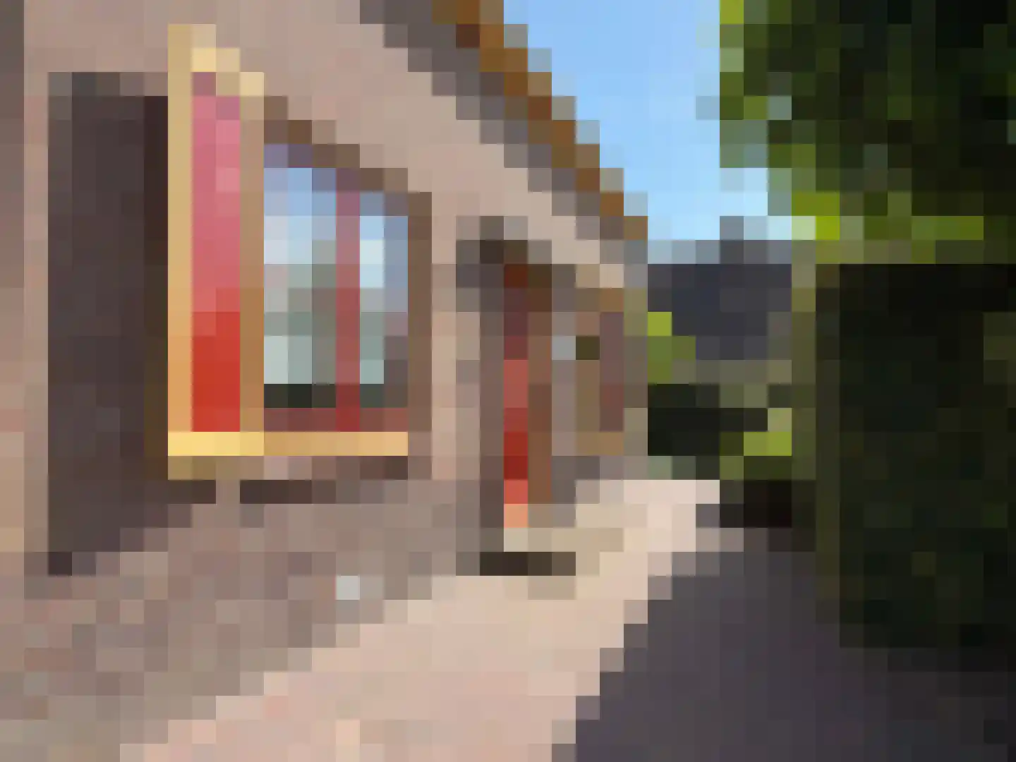 Emmerweg 13 Dalen thumbnail 12