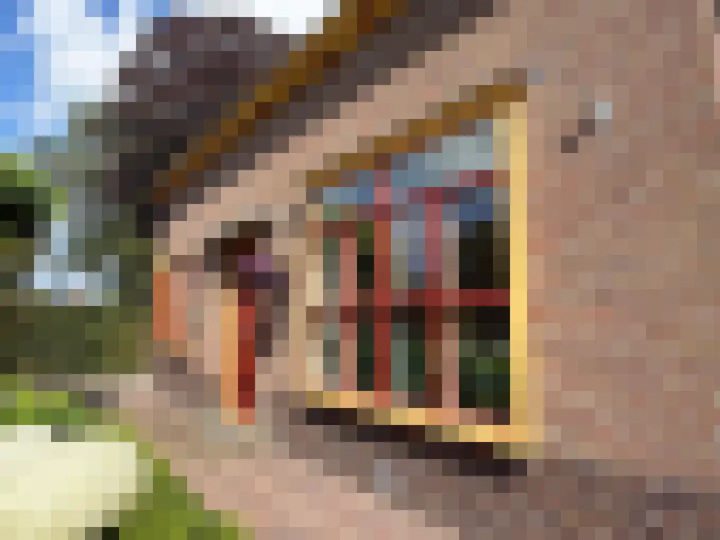 Emmerweg 13 Dalen thumbnail 13