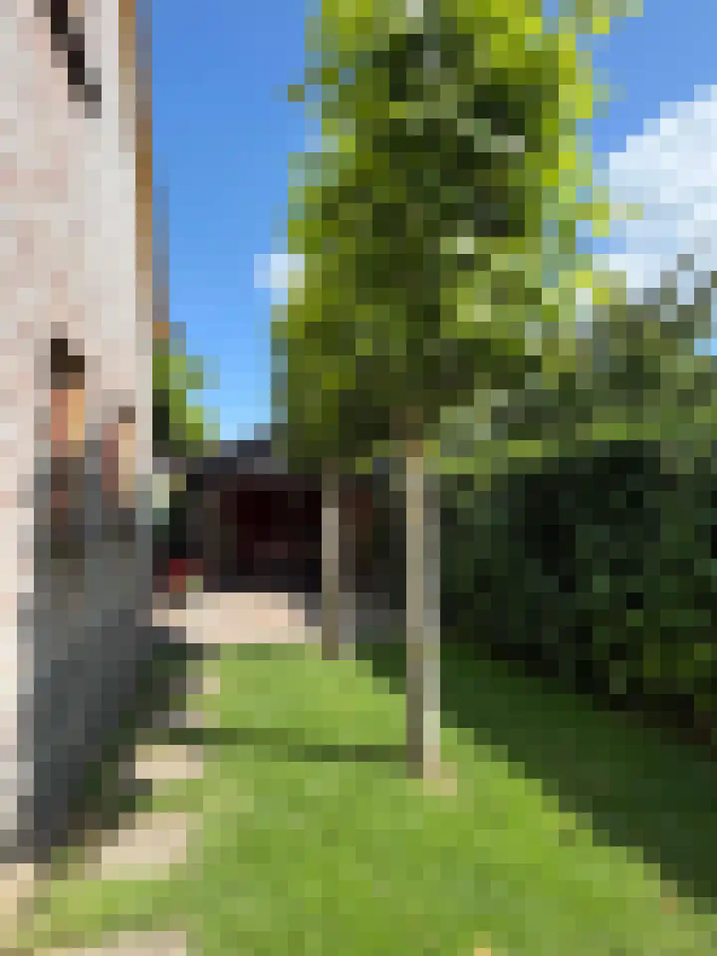Emmerweg 13 Dalen thumbnail 14