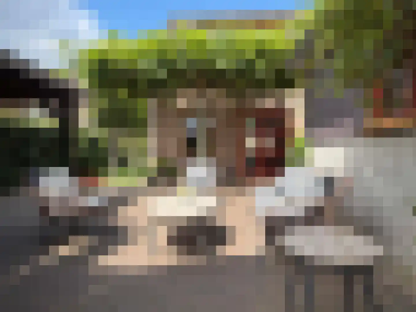 Emmerweg 13 Dalen thumbnail 20