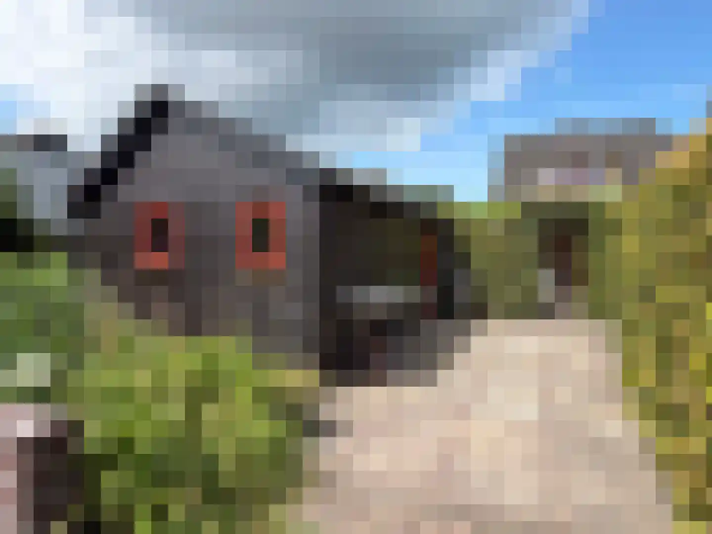Emmerweg 13 Dalen thumbnail 29