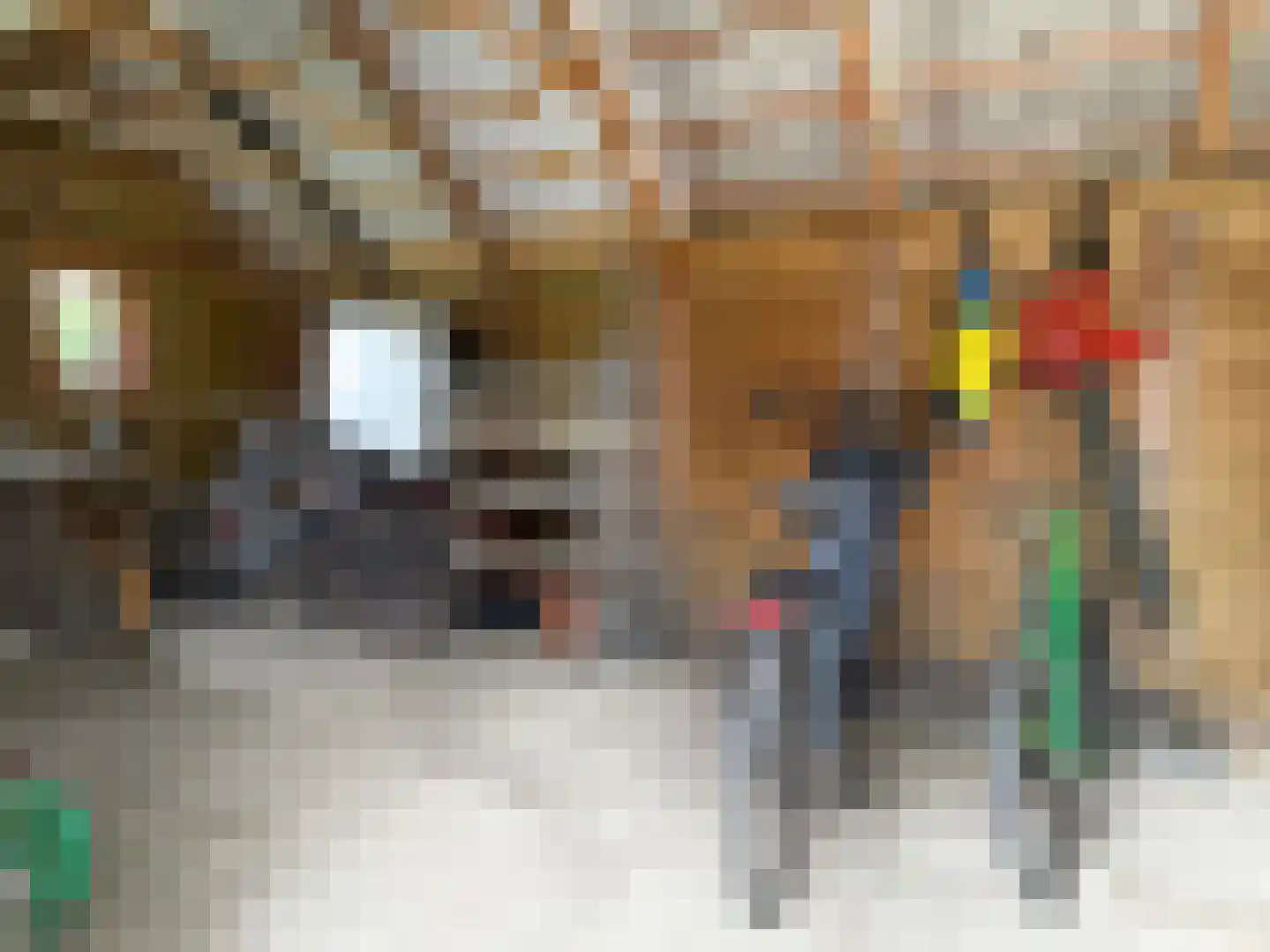 Emmerweg 13 Dalen thumbnail 30