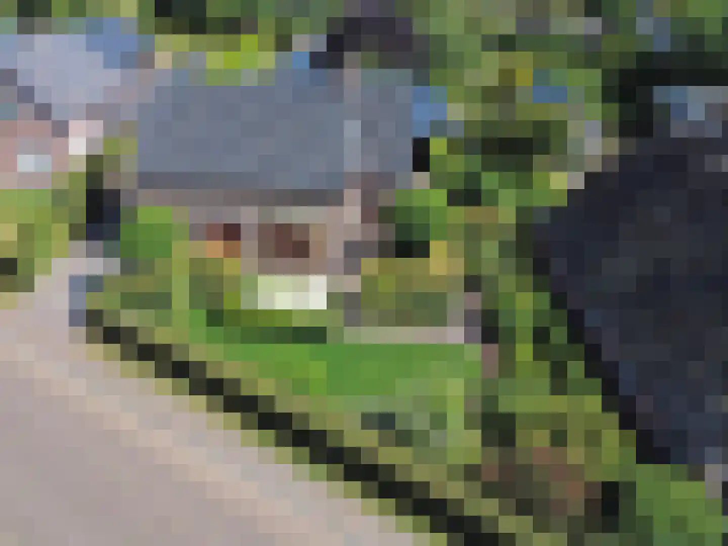 Emmerweg 13 Dalen thumbnail 4