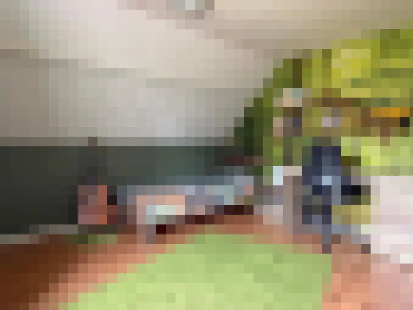 Emmerweg 13 Dalen thumbnail 56