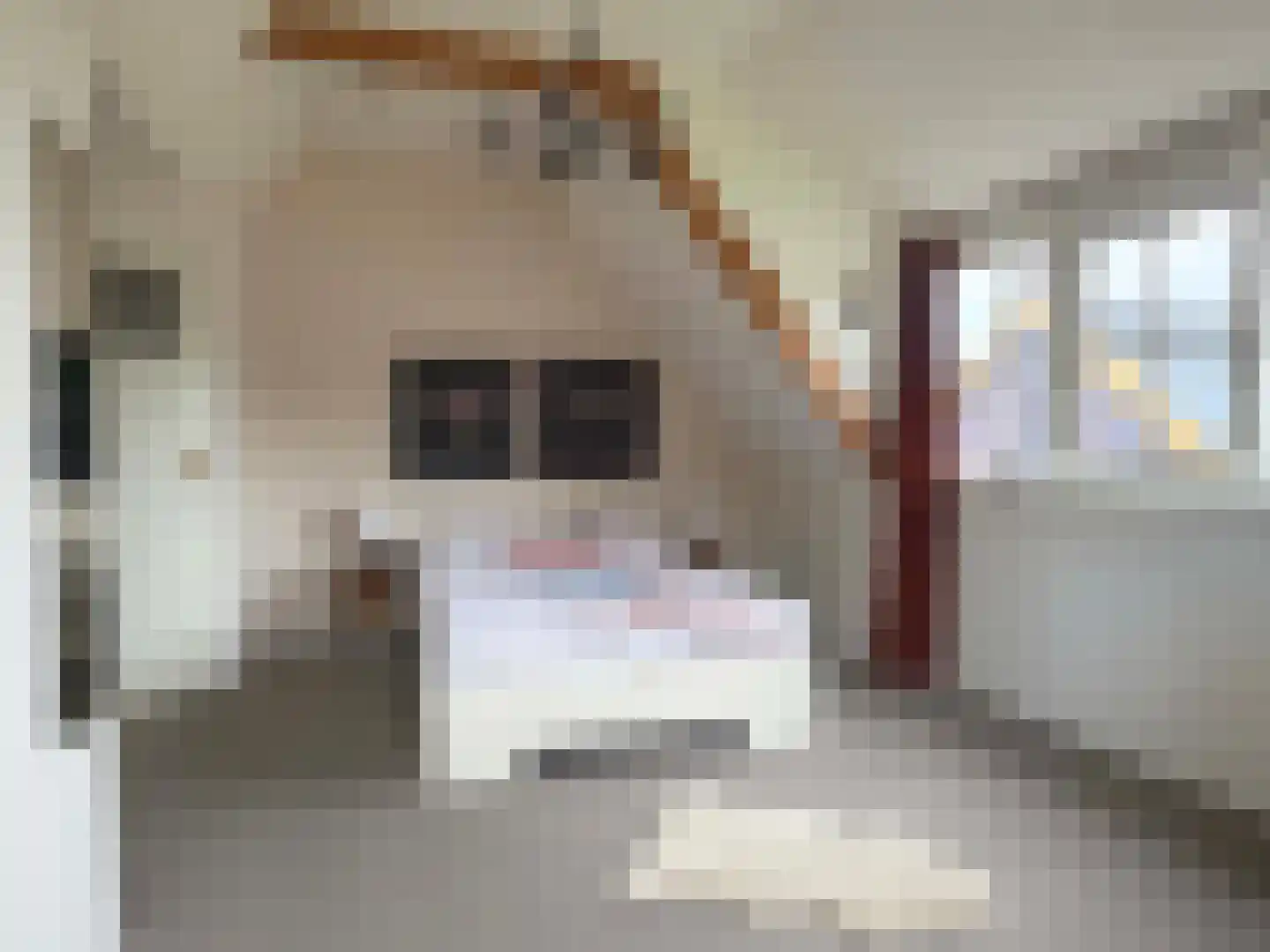 Emmerweg 13 Dalen thumbnail 59