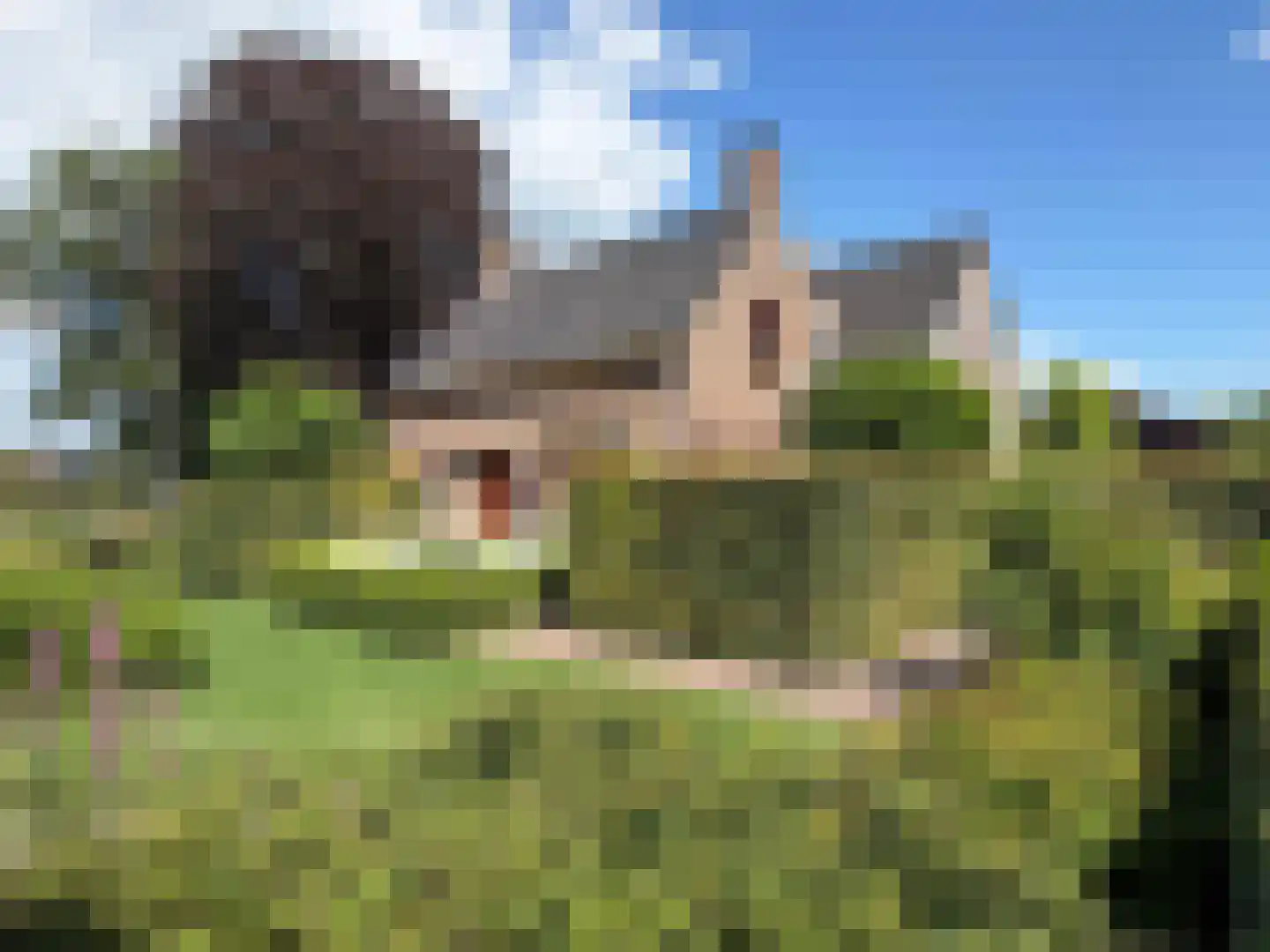 Emmerweg 13 Dalen thumbnail 9