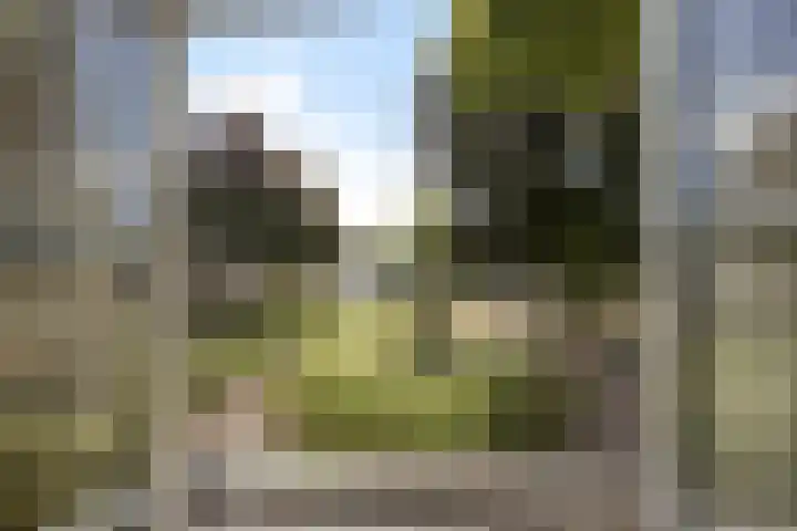 Emmerweg 2 Dalen thumbnail 29