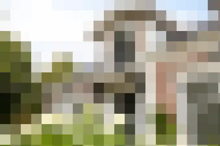 Emmerweg 2 Dalen foto 3