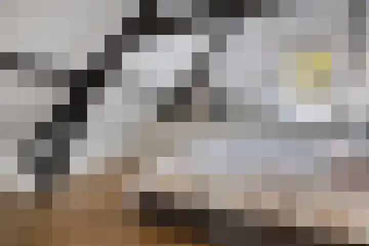 Emmerweg 2 Dalen thumbnail 30