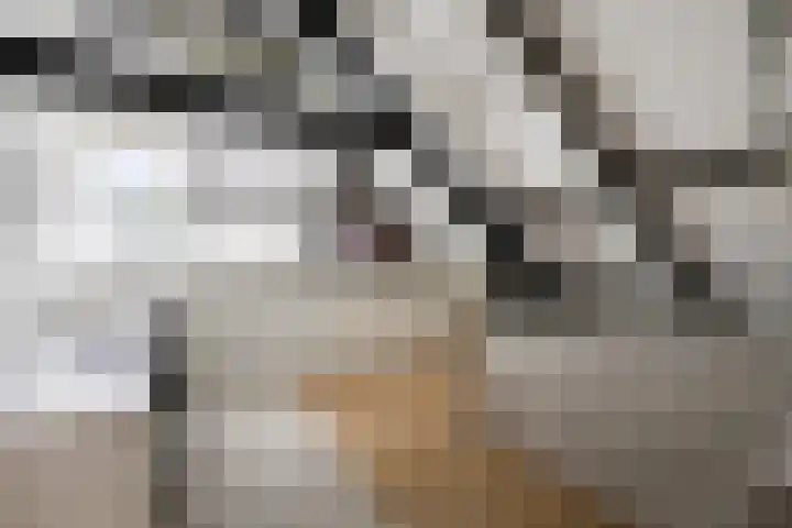 Emmerweg 2 Dalen thumbnail 35