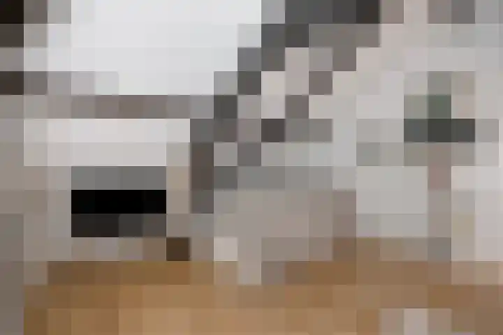 Emmerweg 2 Dalen thumbnail 36