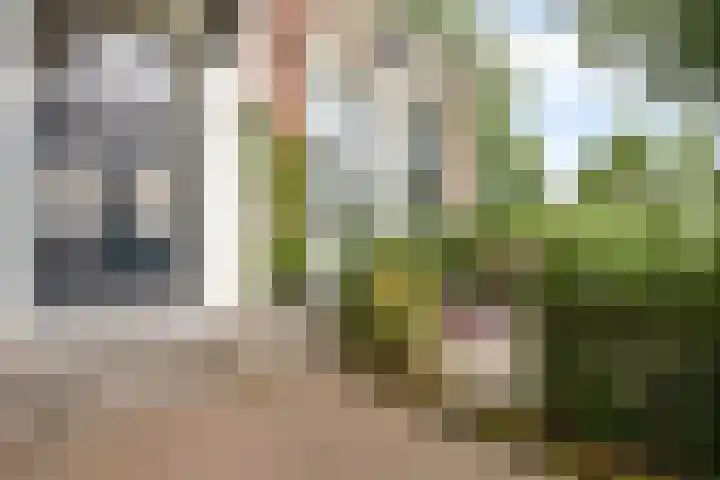 Emmerweg 2 Dalen thumbnail 39