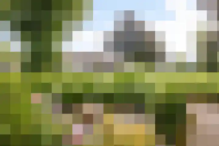 Emmerweg 2 Dalen thumbnail 40