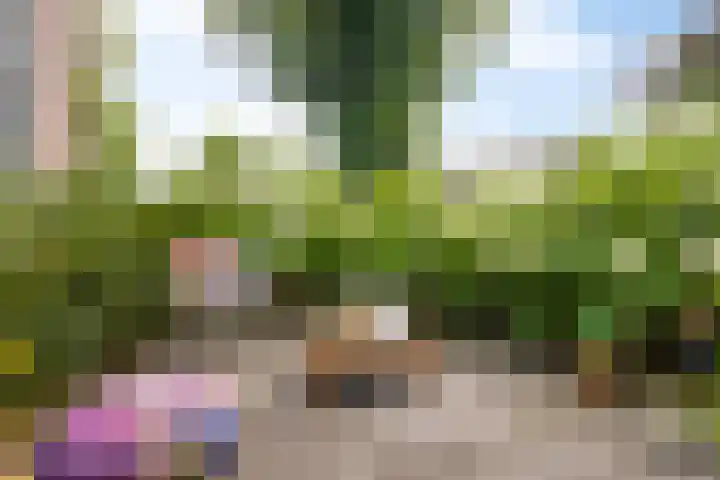 Emmerweg 2 Dalen thumbnail 41