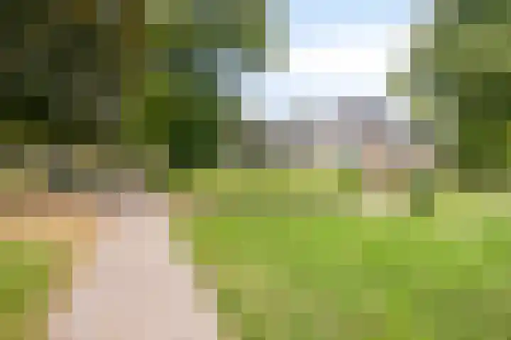 Emmerweg 2 Dalen thumbnail 42