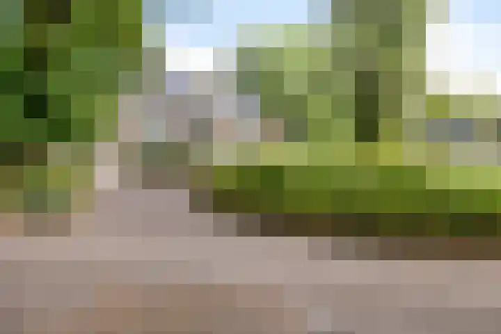 Emmerweg 2 Dalen thumbnail 43