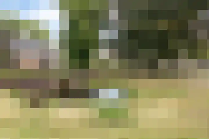 Emmerweg 2 Dalen thumbnail 44
