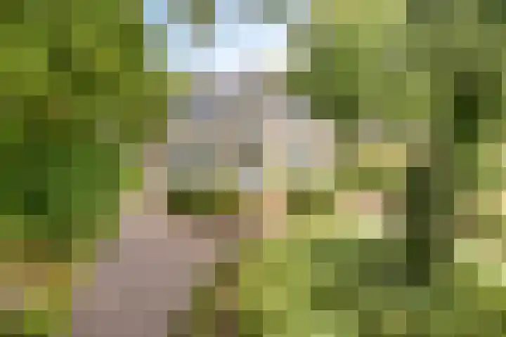 Emmerweg 2 Dalen thumbnail 5