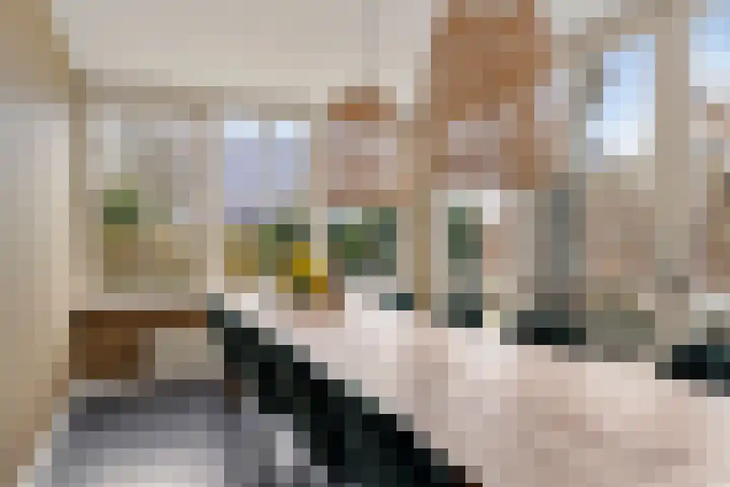 Emmerweg 23 Dalen thumbnail 19