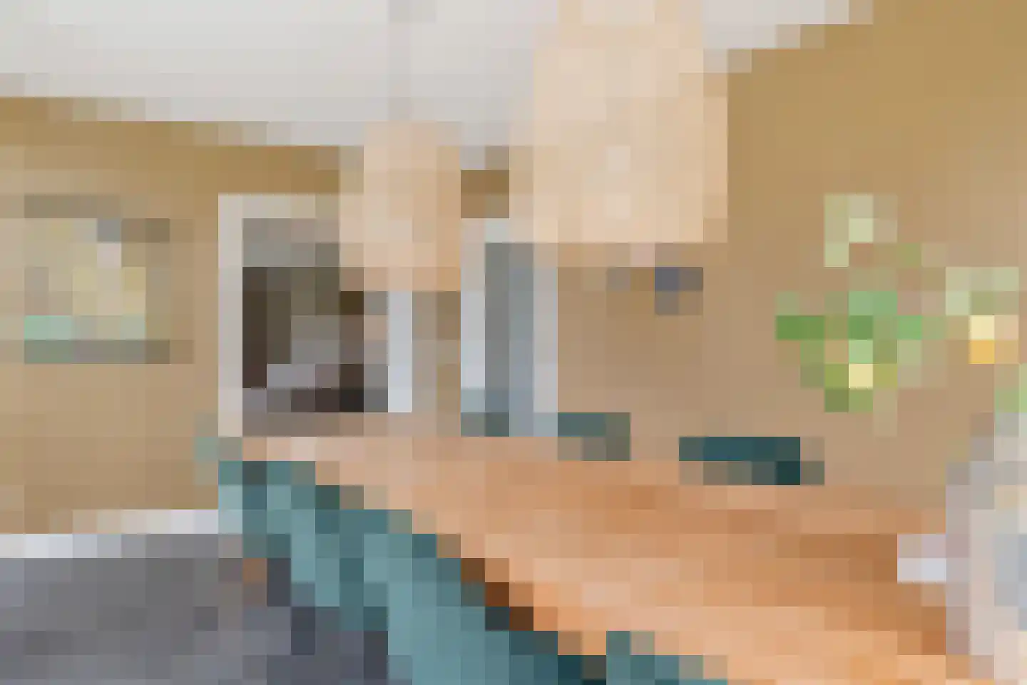 Emmerweg 23 Dalen thumbnail 20