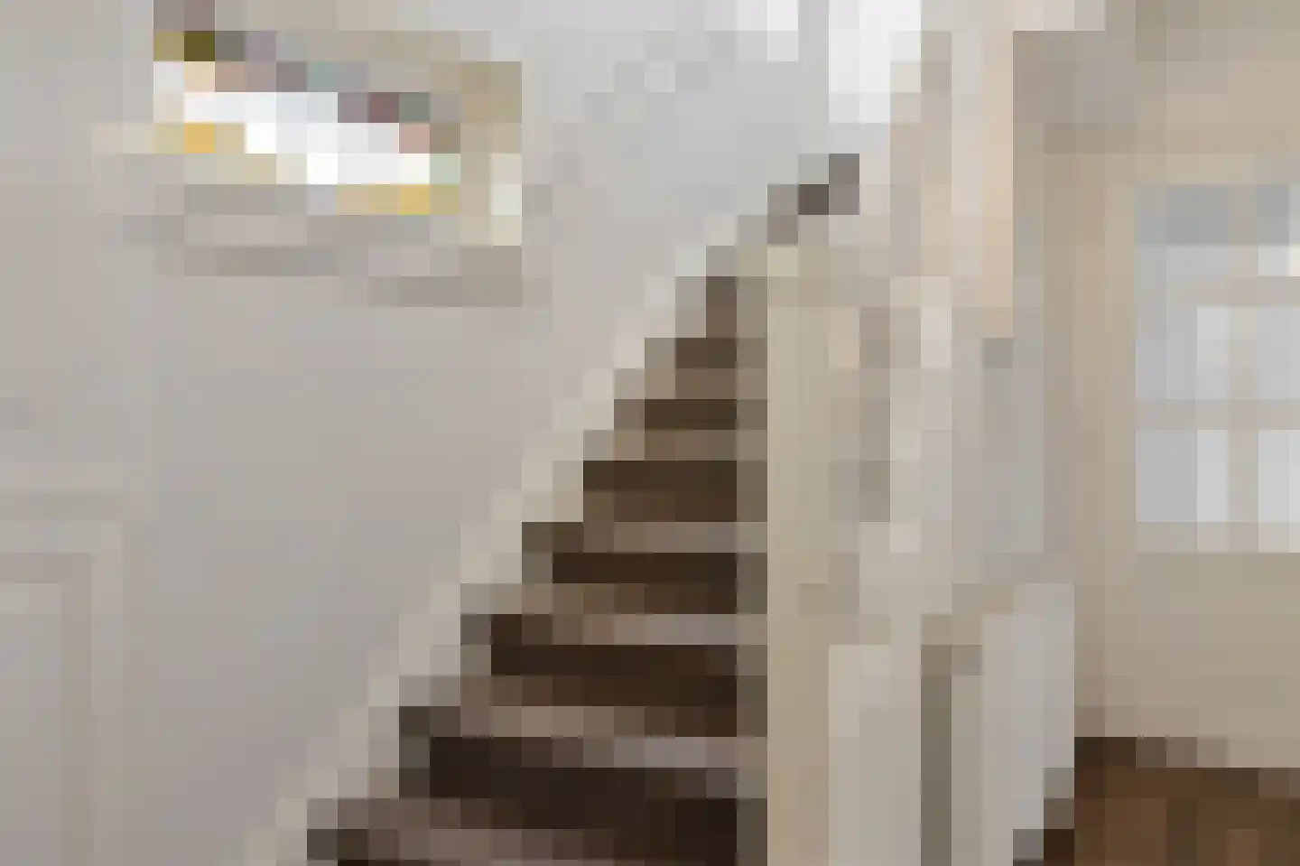 Emmerweg 23 Dalen thumbnail 30