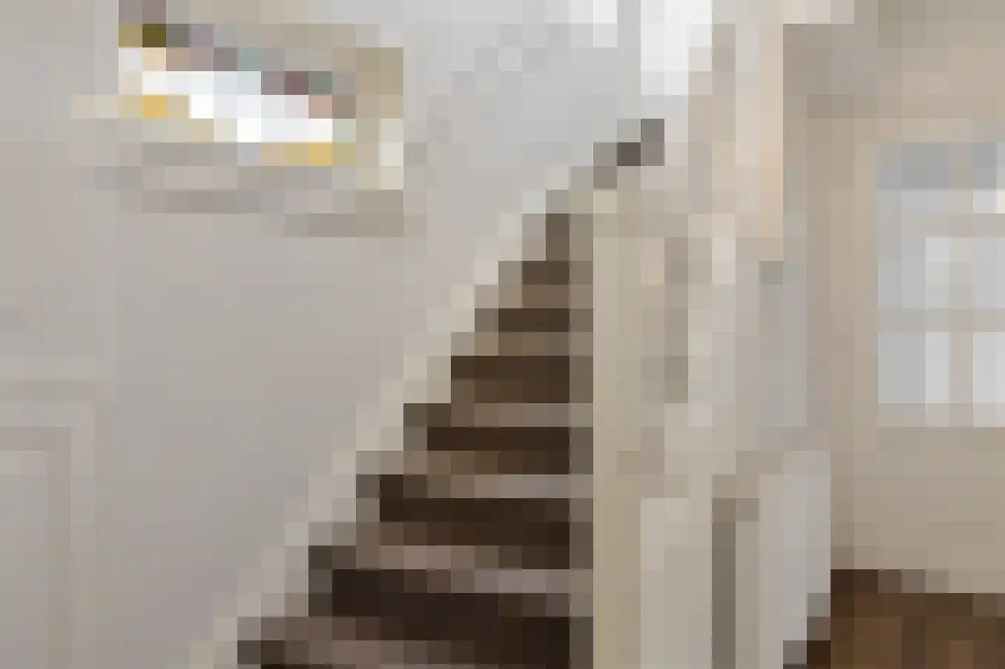 Emmerweg 23 Dalen thumbnail 33