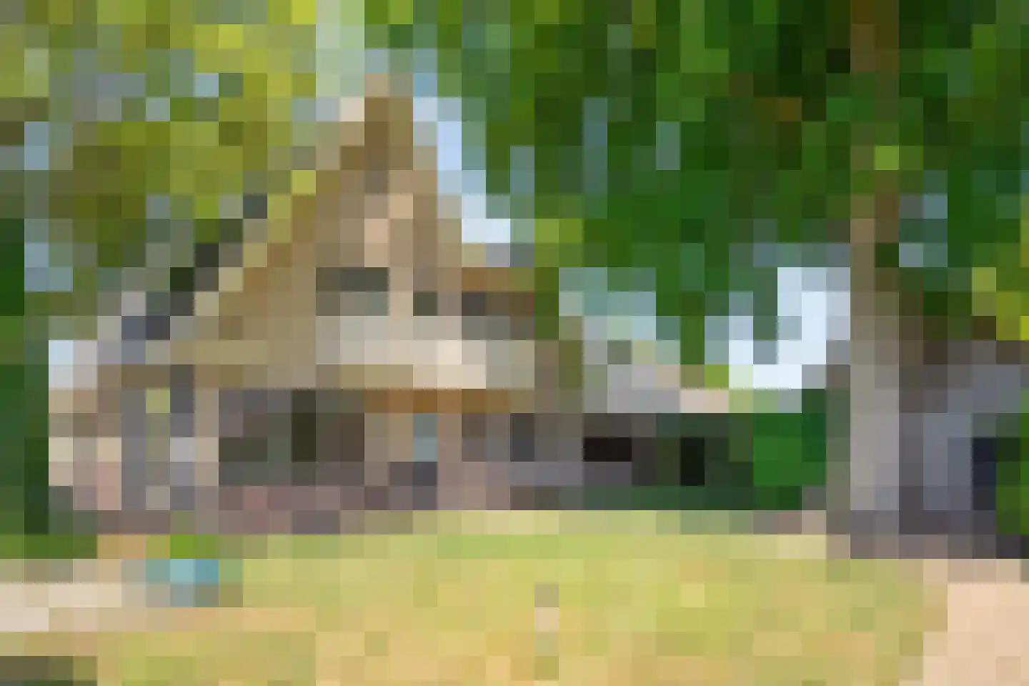 Emmerweg 23 Dalen thumbnail 48