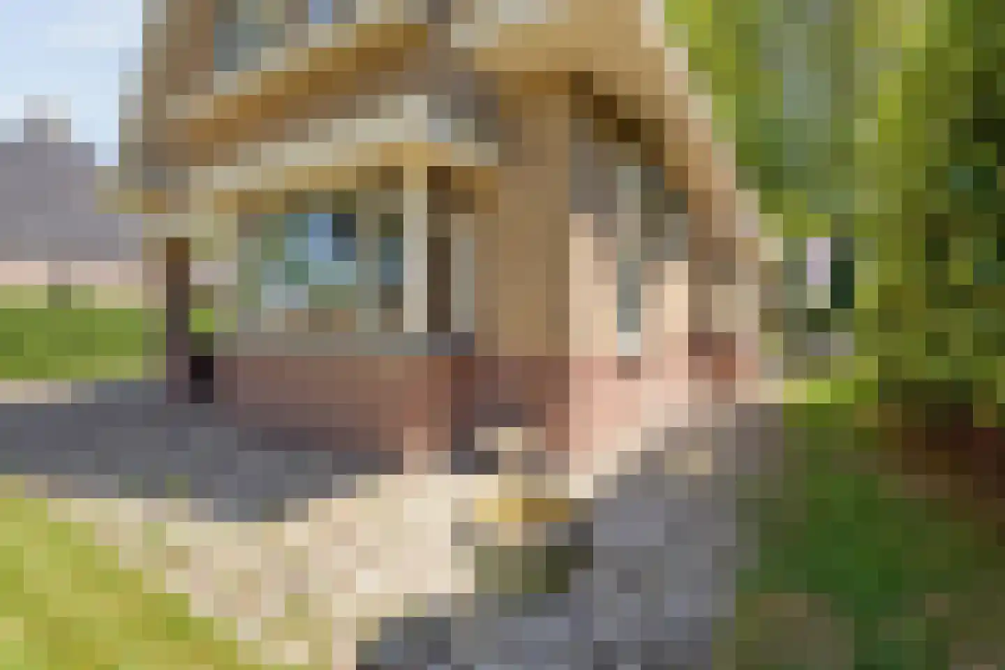 Emmerweg 23 Dalen thumbnail 5