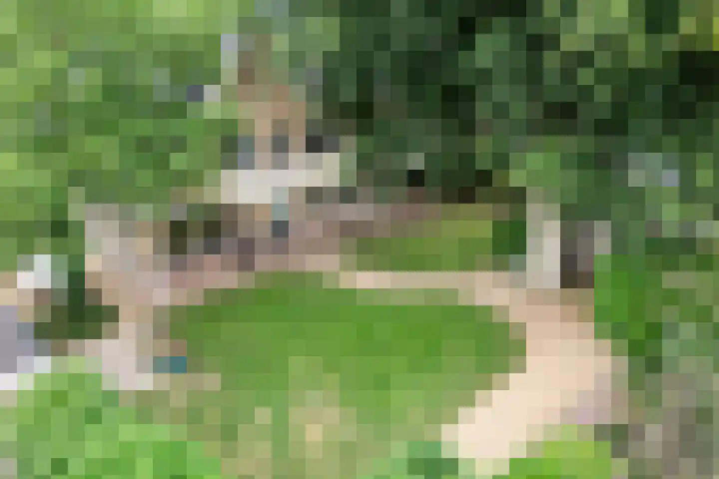 Emmerweg 23 Dalen thumbnail 51