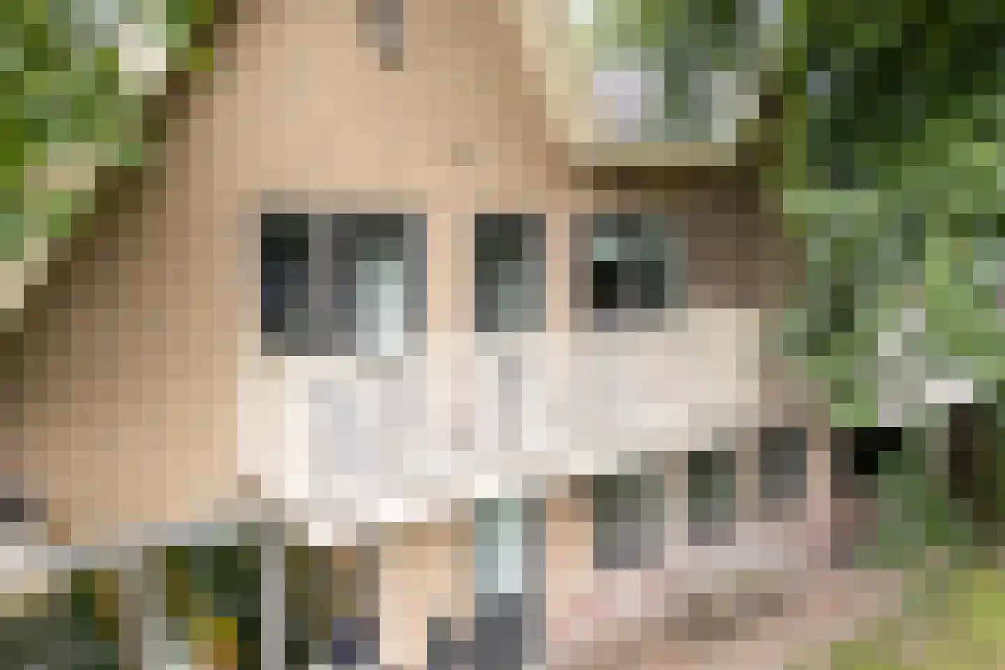 Emmerweg 23 Dalen thumbnail 52