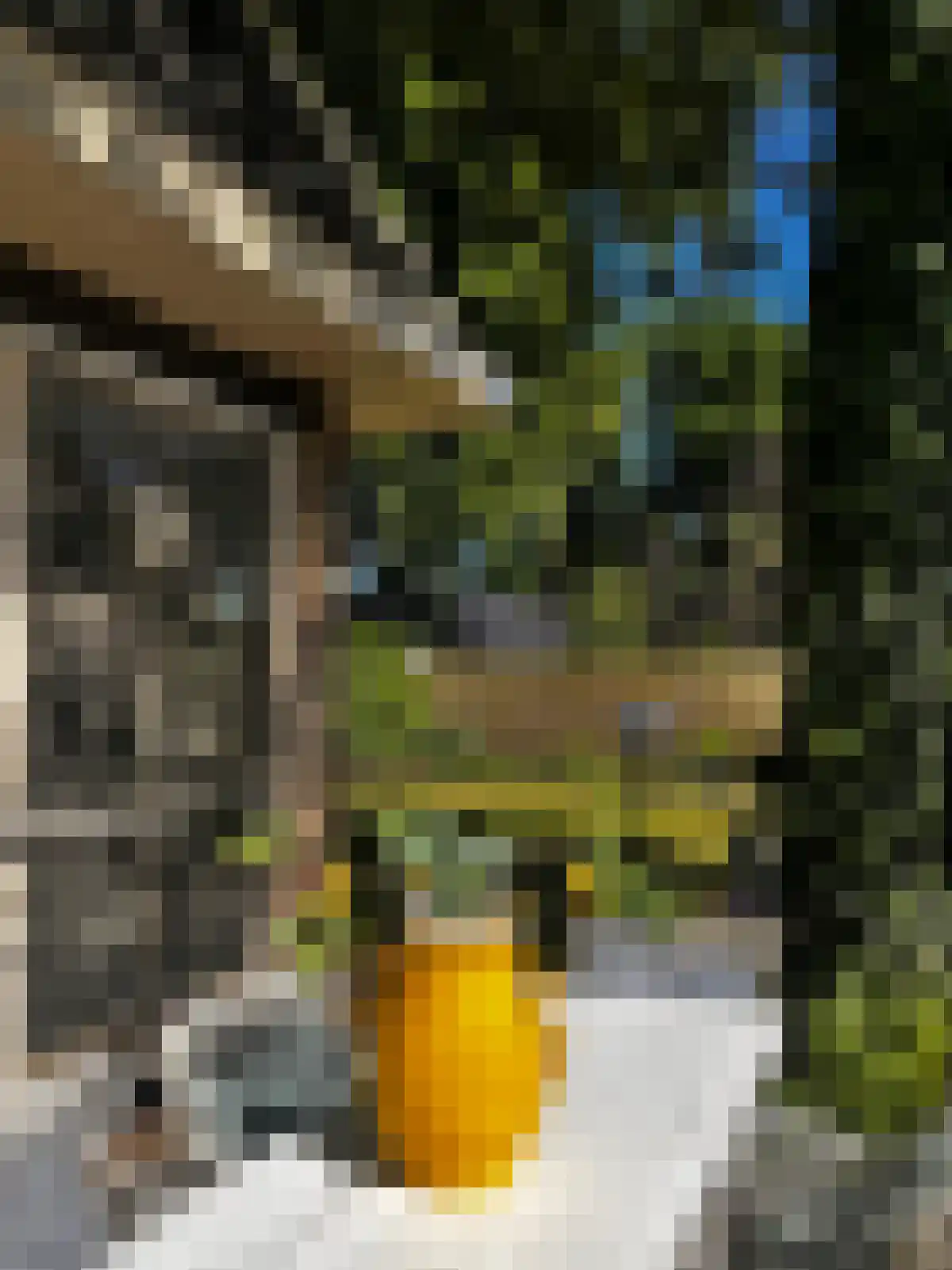Emmerweg 23 Dalen thumbnail 55