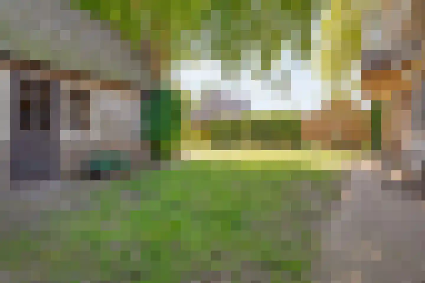 Emmerweg 23 Dalen thumbnail 56