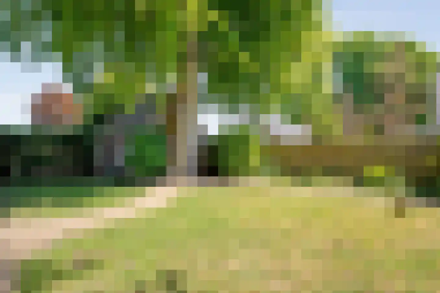 Emmerweg 23 Dalen thumbnail 59