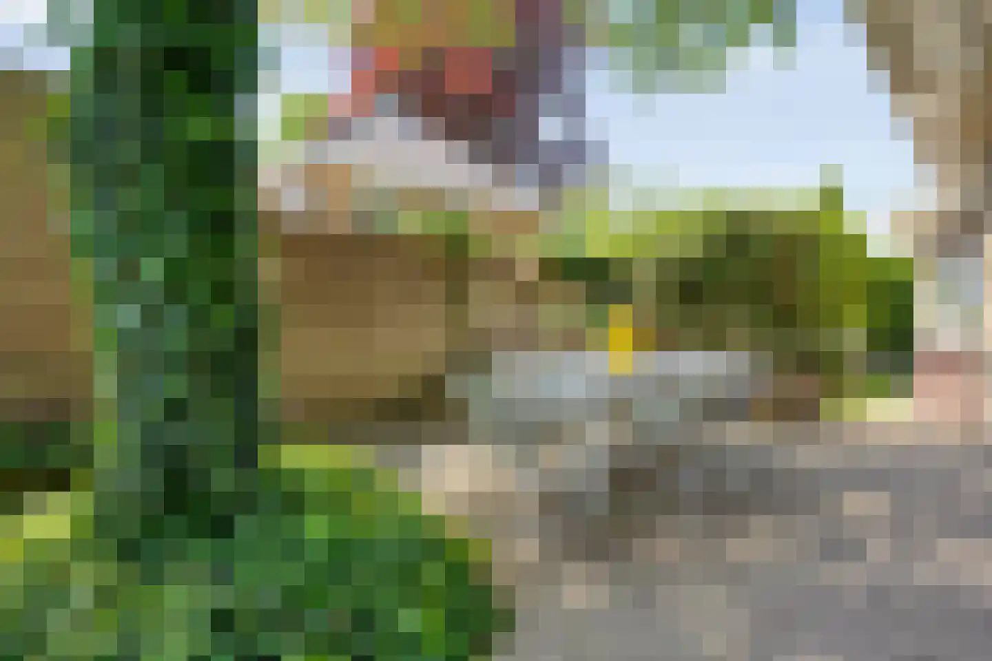 Emmerweg 23 Dalen thumbnail 60