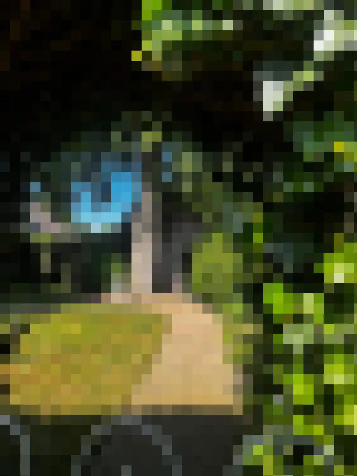 Emmerweg 23 Dalen thumbnail 61