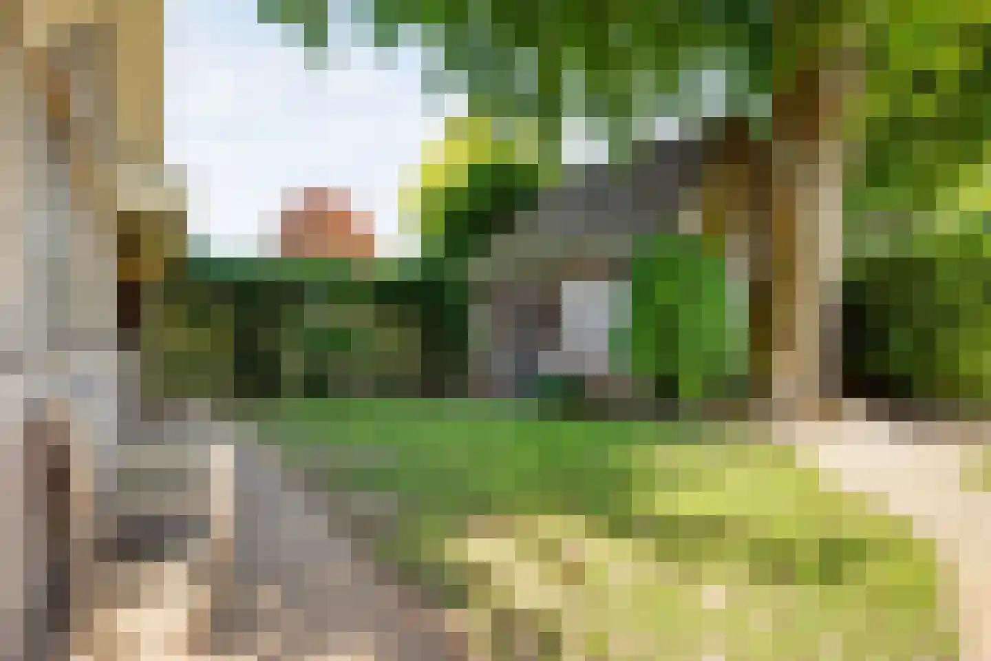 Emmerweg 23 Dalen thumbnail 62