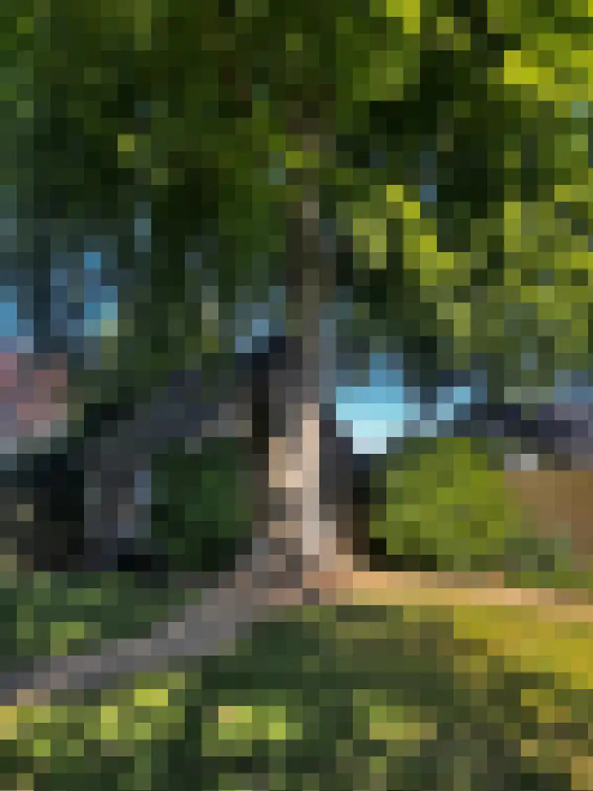 Emmerweg 23 Dalen thumbnail 63