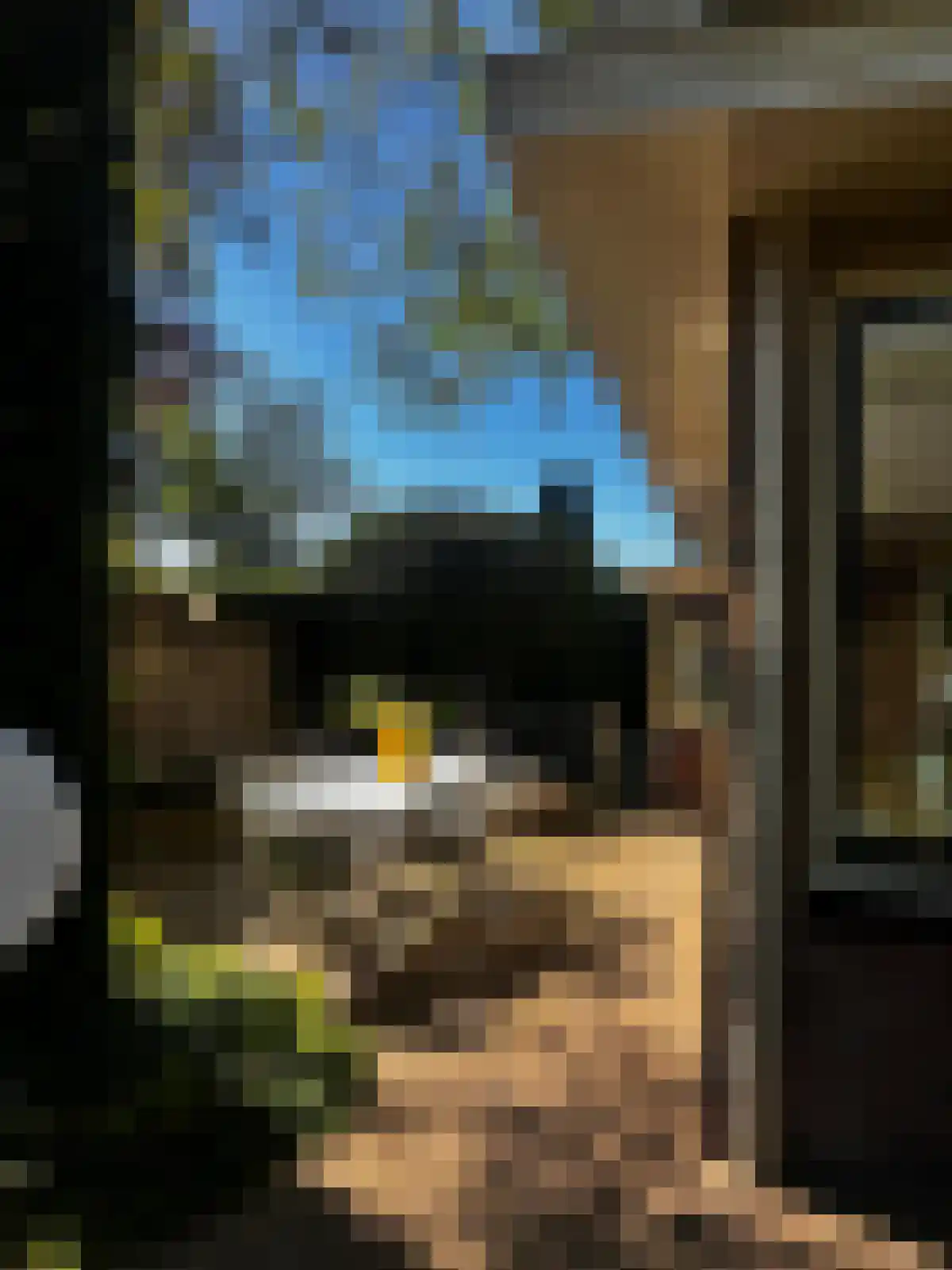 Emmerweg 23 Dalen thumbnail 64