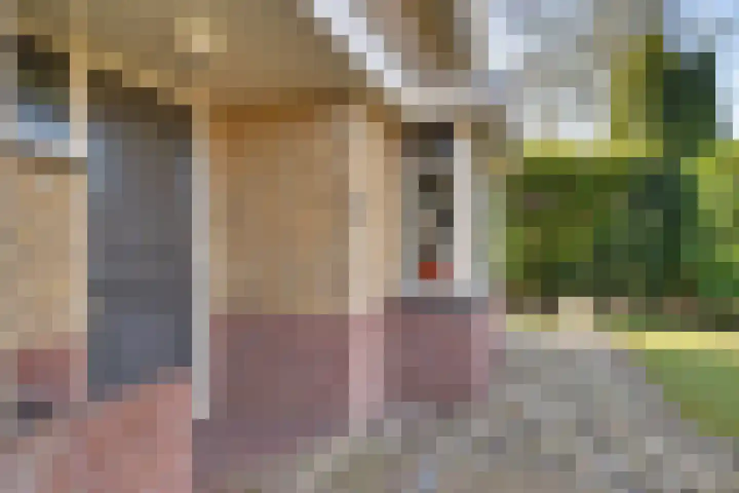 Emmerweg 23 Dalen thumbnail 7
