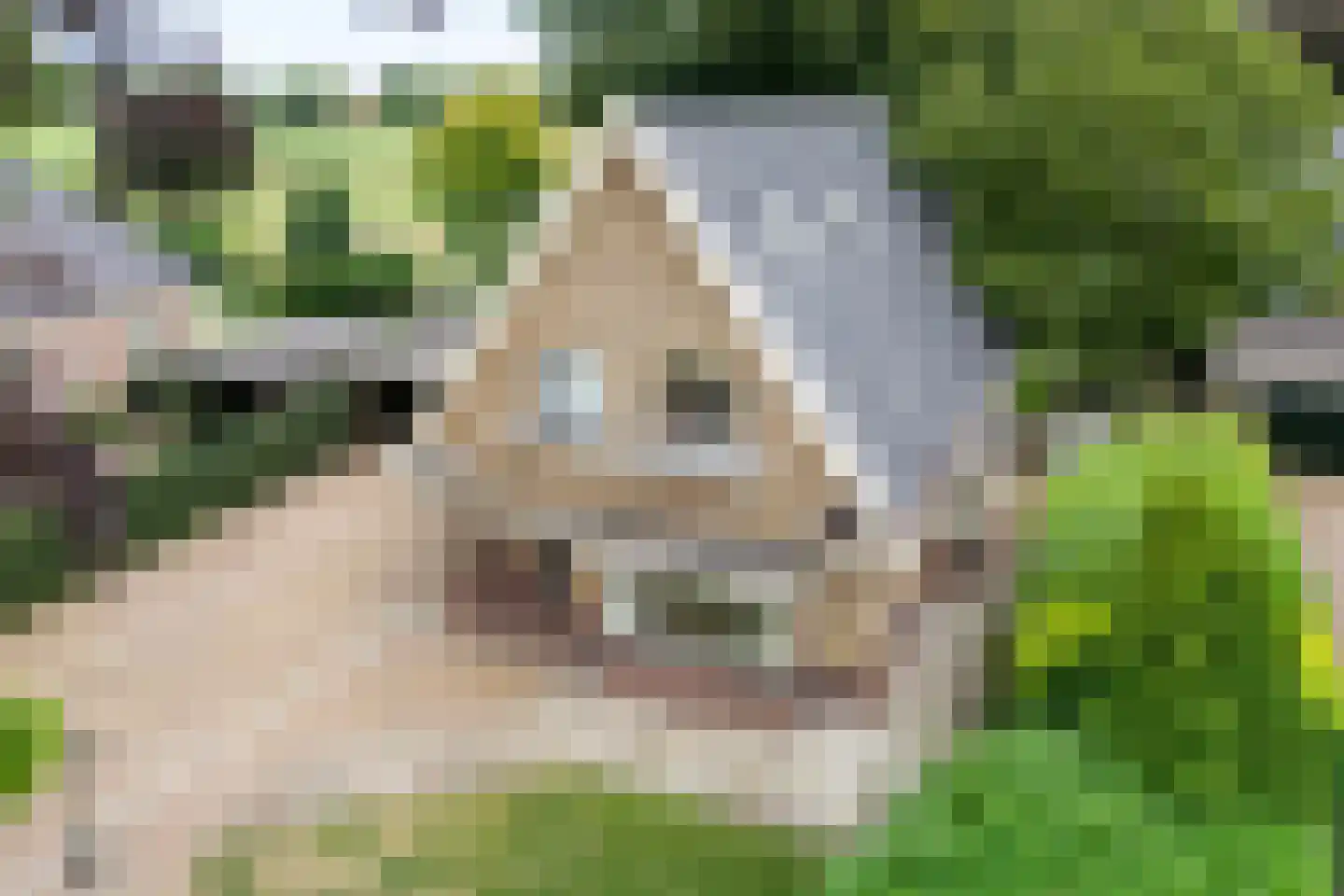 Emmerweg 23 Dalen thumbnail 70