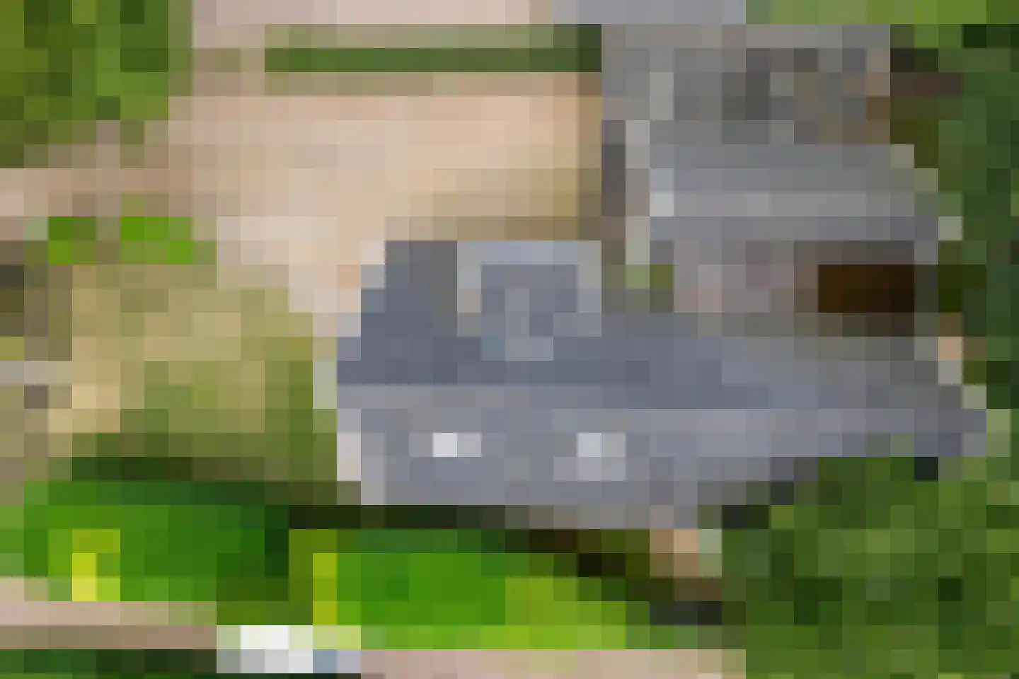 Emmerweg 23 Dalen thumbnail 71